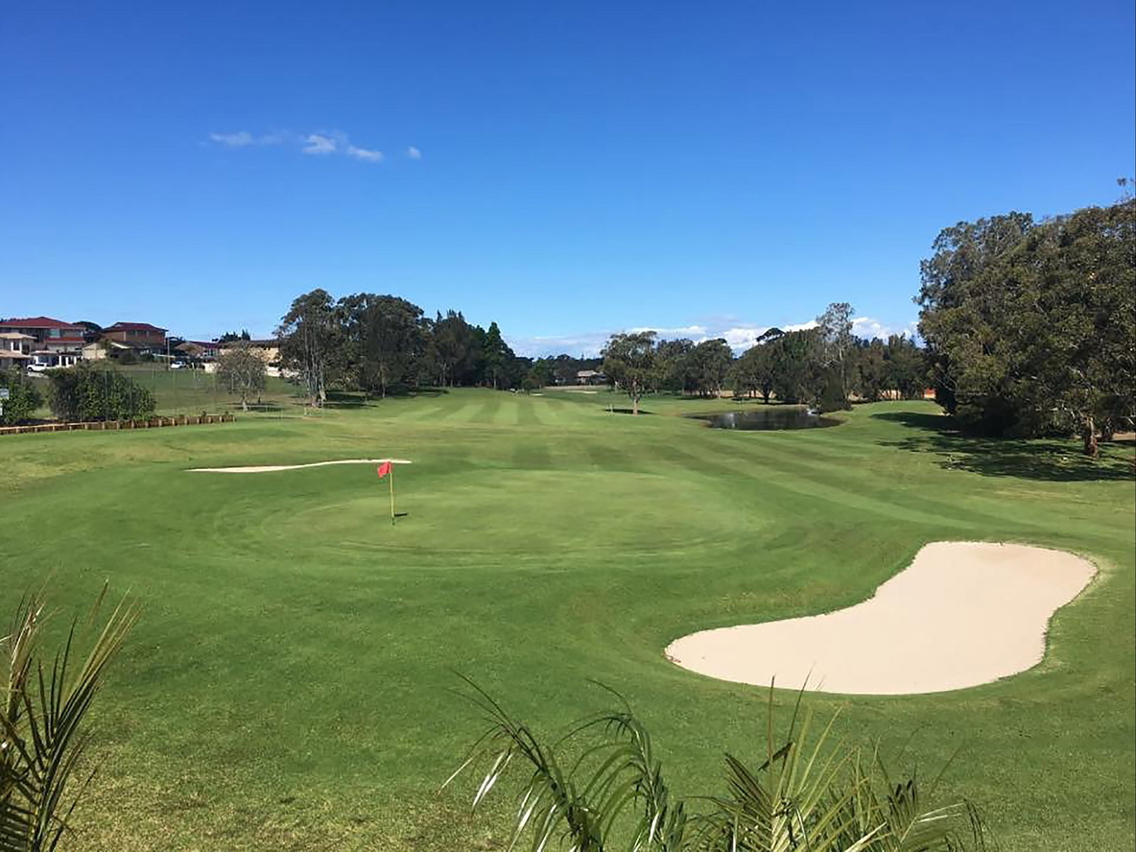 Riverside NSW Winery Find