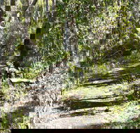 Euglah Rock Walking Track - Winery Find