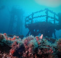 ex HMAS Adelaide - Winery Find