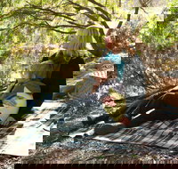 Haig Street Quarry Bushland Reserve Trails - Winery Find