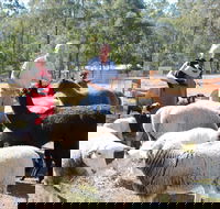 Haigslea EWE Nique Hobby Farm - Winery Find
