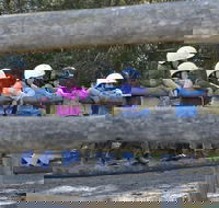 Harlow Park Horse Riding - Winery Find