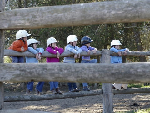 Harlow Park Horse Riding - Winery Find 0