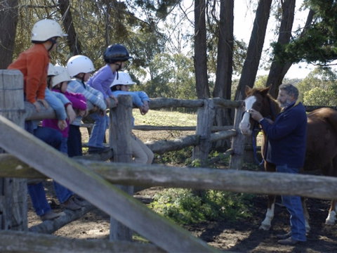 Harlow Park Horse Riding - Winery Find 2