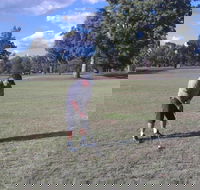 Inverell Golf Club - Winery Find