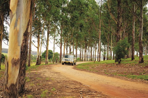 Kumbia - Winery Find 0