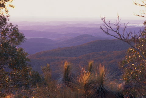 Kumbia - Winery Find 1