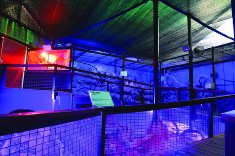 Kuranda Koala Gardens - Winery Find 2