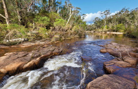 Little Dandahra Creek Walking Track - Winery Find 0