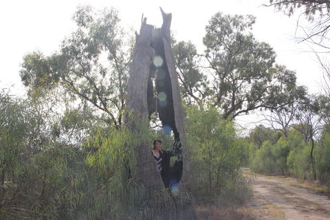 Martin Bend Wetland And Walking Trail - Winery Find 1