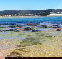 Merimbula Bar Beach - Winery Find