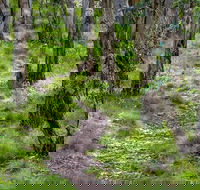 Mount Canobolas State Conservation Area - Winery Find