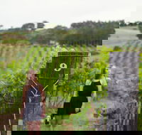 Naturally Luxurious - Great Beach Drive - Winery Find
