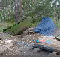 Northbrook Mountain Bush Camp - Winery Find