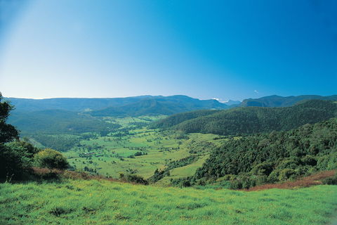 Numinbah Section, Springbrook National Park - Winery Find 0