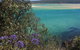 One Tree Point Lookout And Picnic Area - thumb 2