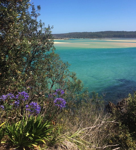 One Tree Point Lookout And Picnic Area - Winery Find 2