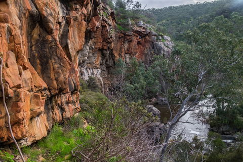 Onkaparinga River National Park - Winery Find 1