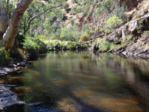 Onkaparinga River National Park - Winery Find 2