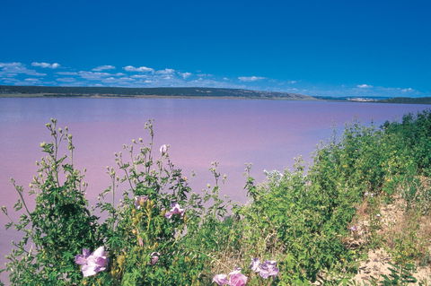 Port Gregory - Winery Find 0