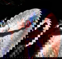 Scienceworks - Winery Find