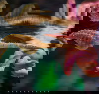 Seahorse World - Winery Find