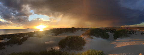 Shelly Beach Dune Walk Trail - Winery Find 2