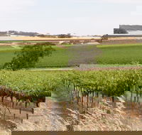 Smidge Wines Tasting Room - Winery Find