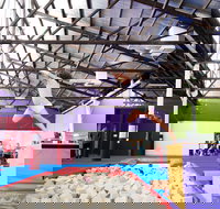 Springloaded Trampoline - Winery Find