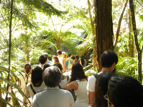 Tamborine Mountain Glow Worm Tours - Winery Find 1