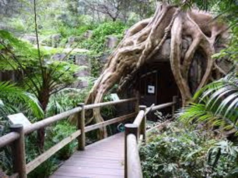 Tamborine Mountain Glow Worm Tours - Winery Find 2