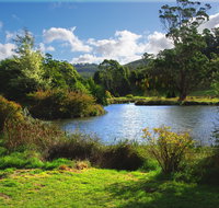 Tasmanian Arboretum Inc. - The - Winery Find