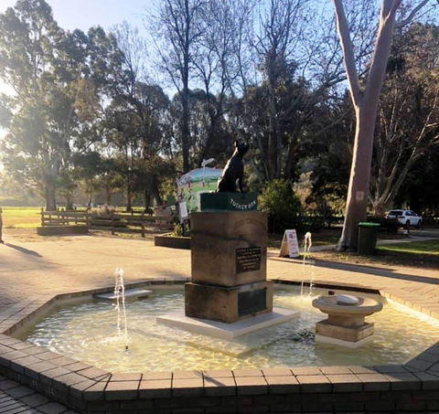 The Dog On The Tucker Box - Winery Find 1