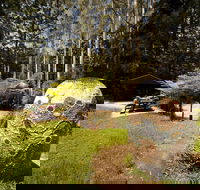 The Pines Picnic Area - Winery Find