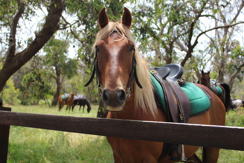 The Ranch - Winery Find 2