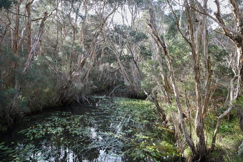 The Briars Park Walking Trails - Winery Find 2