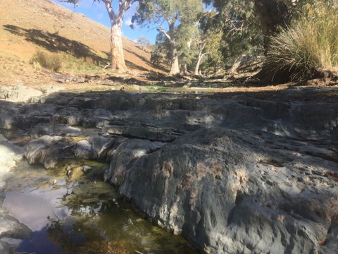 Three Creeks Station -Arkaroona Creek Walk - Winery Find 0