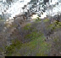 Tolmer Rocks - Mount Boothby Conservation Park - Winery Find