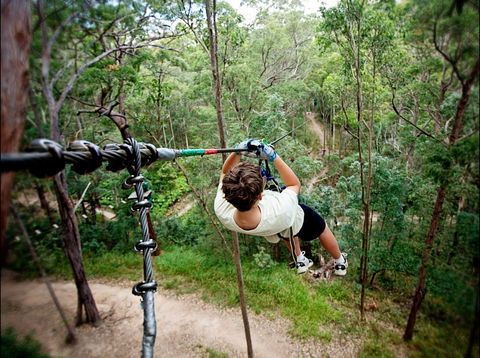 TreeTop Challenge - Winery Find 0