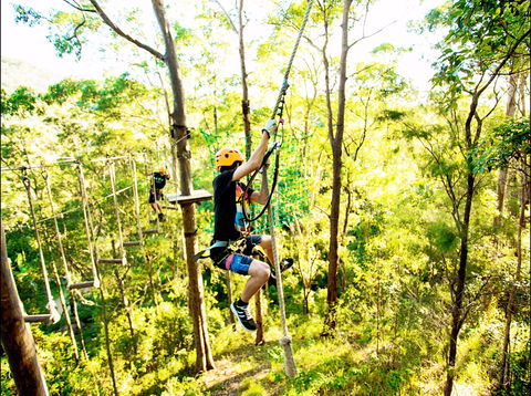 TreeTop Challenge - Winery Find 1