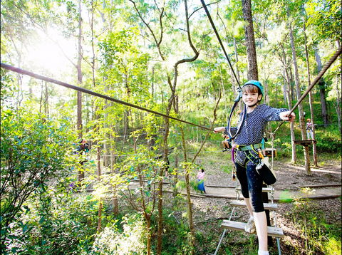 TreeTop Challenge - Winery Find 2