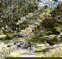 Wollomombi Walking Track - Winery Find