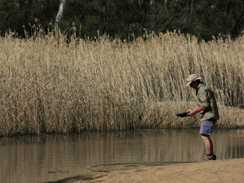 Wooldridge Recreation And Fossicking Reserve - Winery Find 2