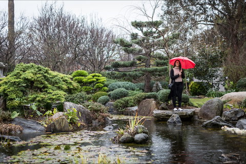 Adelaide Himeji Garden - Winery Find 2