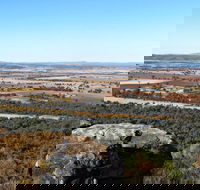 Basin Gully to Eualdrie Lookout Track - Winery Find