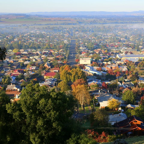 Bellevue Hill Reserve - Winery Find 1