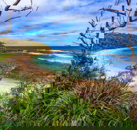 Bendalong Inyadda Beach - Winery Find