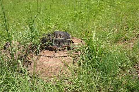 Brocks Creek Chinatown And Temple Site - Winery Find 0