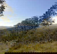 Bunyip State Park - Winery Find