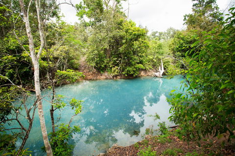 Cardwell Spa Pool - Winery Find 2